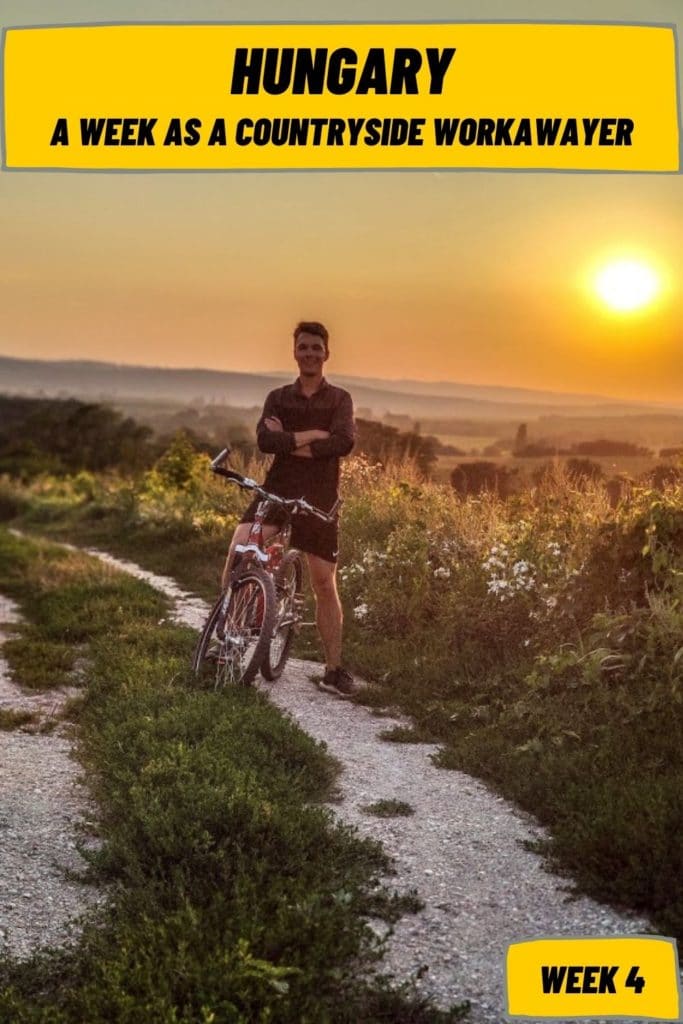 Workaway in Hungary countryside