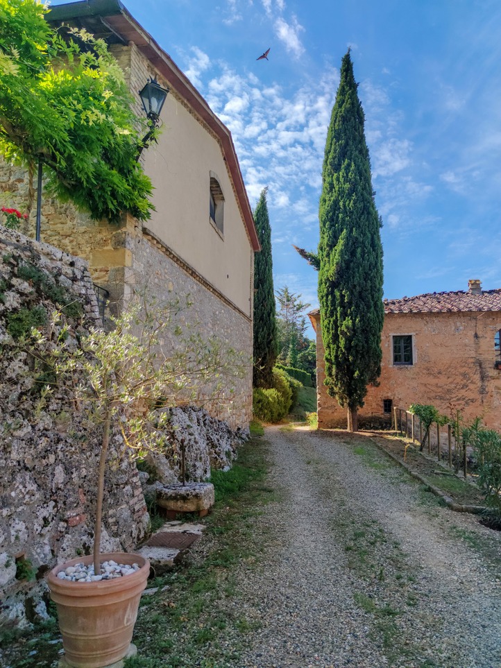 On the via Francigena. Italy's pilgrim road. Tuscany