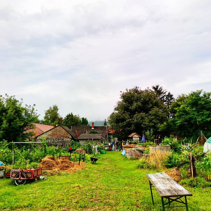 workaway in Hungary countryside