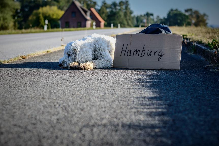 hitchhiking sign. Hitchhiking in europe