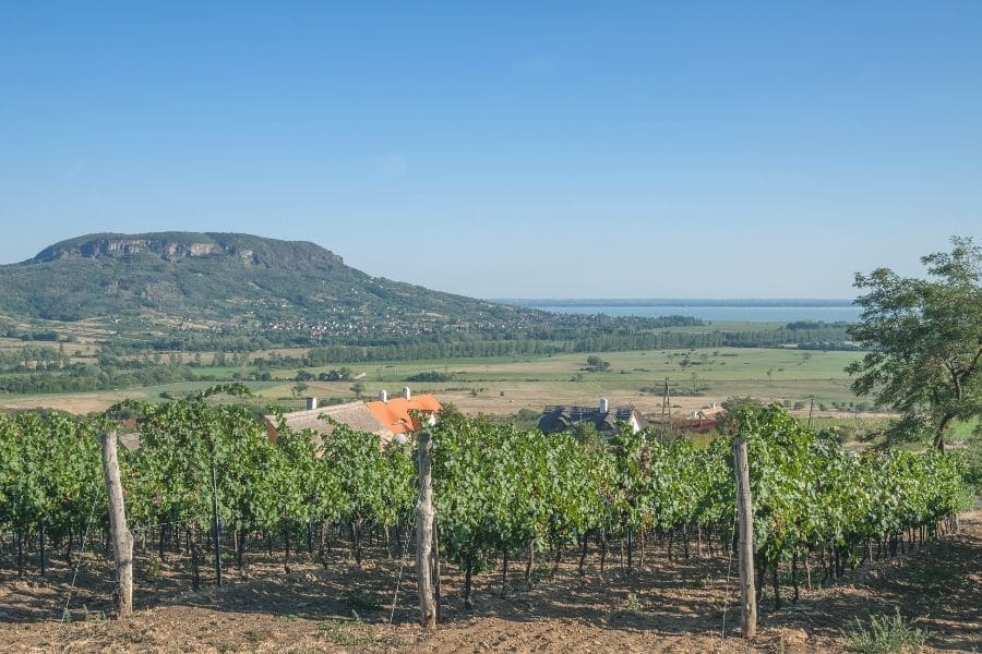 badacsony wine region