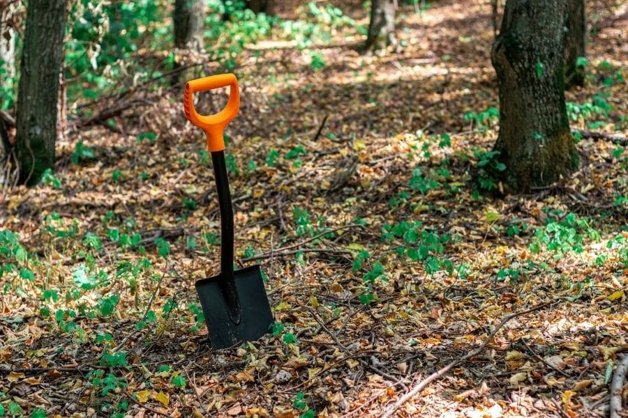 pooping in forest