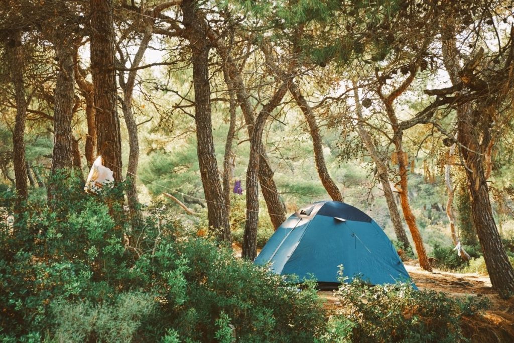 camping alone in a forest