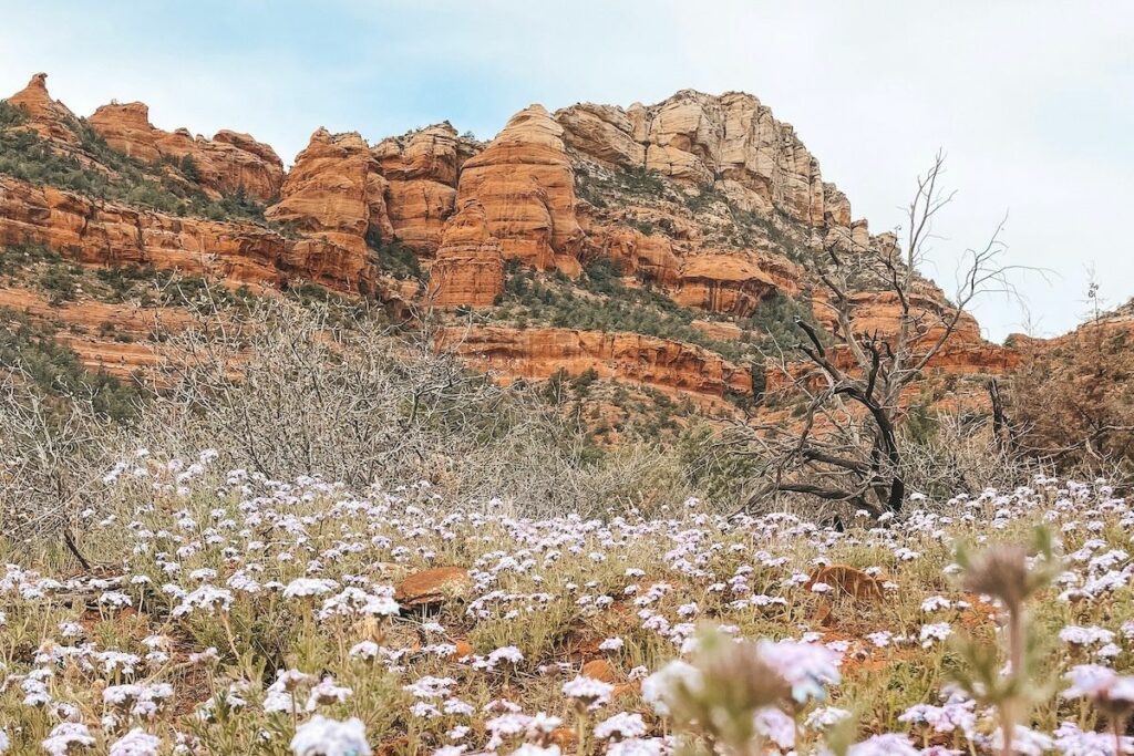 Sedona, Arizona