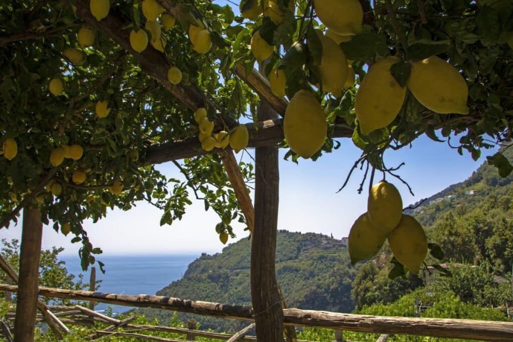 best hikes on the amalfi coast - Sentiero dei Limoni